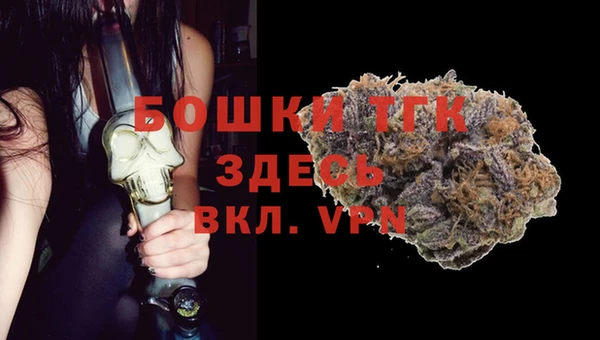 шишки Абаза