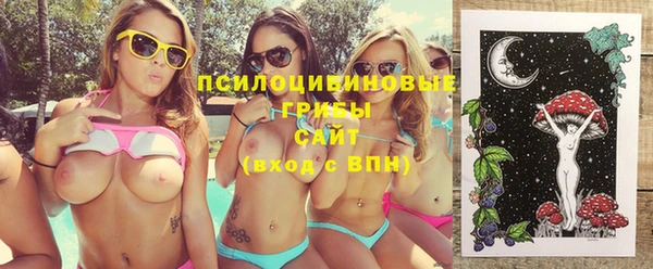 шишки Абаза