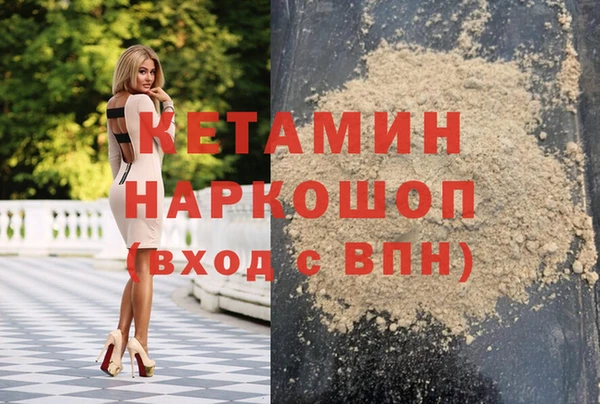 шишки Абаза