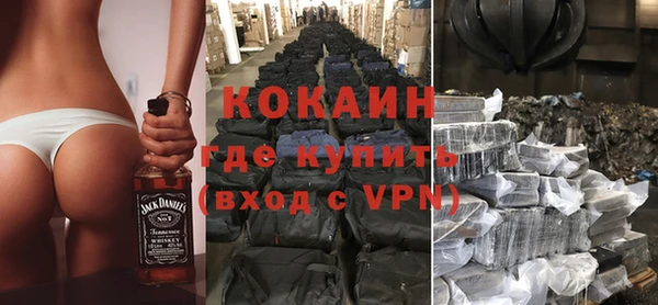 шишки Абаза