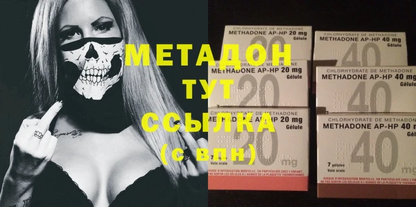 шишки Абаза