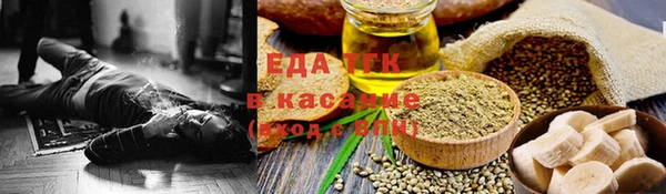 шишки Абаза