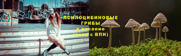гидра Абинск