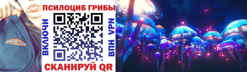 Псилоцибиновые грибы прущие грибы  Костомукша 