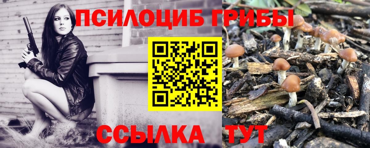 Костомукша  Псилоцибиновые грибы мицелий  Вход с VPN 